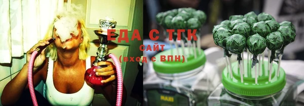 индика Богданович