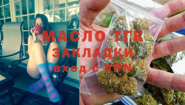 индика Богданович