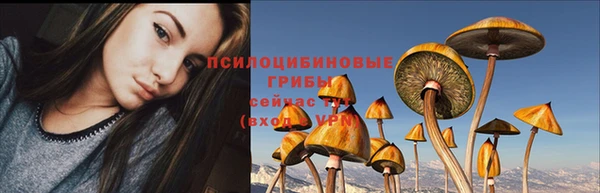 индика Богданович