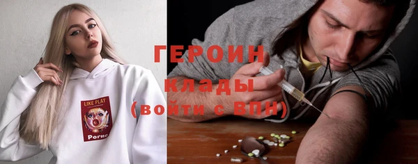 индика Богданович