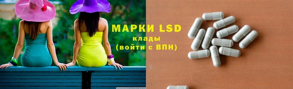 индика Богданович