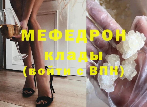 индика Богданович