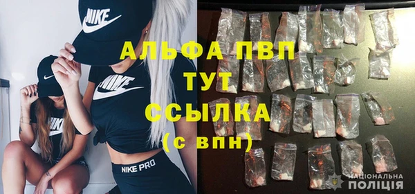 кокс Богородицк