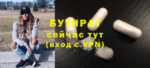 индика Богданович