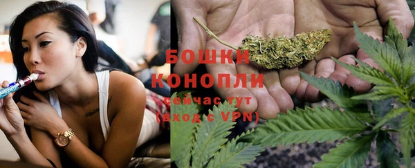 индика Богданович