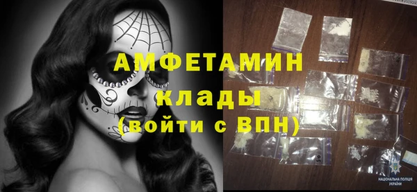 индика Богданович