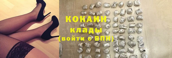 кокс Богородицк