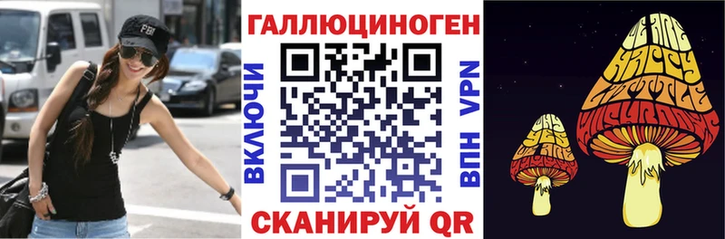 Псилоцибиновые грибы Psilocybe  Купить закладки  Сортавала 
